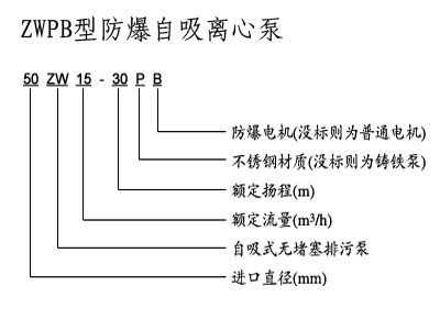 不銹鋼自吸泵,防爆自吸泵,排污自吸泵,ZX型自吸泵，ZW型自吸泵，無(wú)密封自控自吸泵，自吸泵圖片，自吸水泵，自吸泵廠家，自吸泵價(jià)格，上海自吸泵